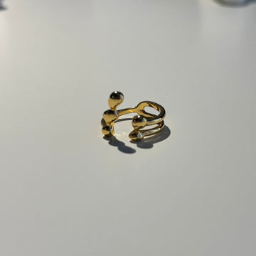 Treasure Island Ring
